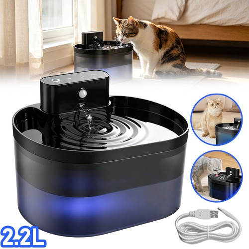 Cat water fountain for pet - for,
