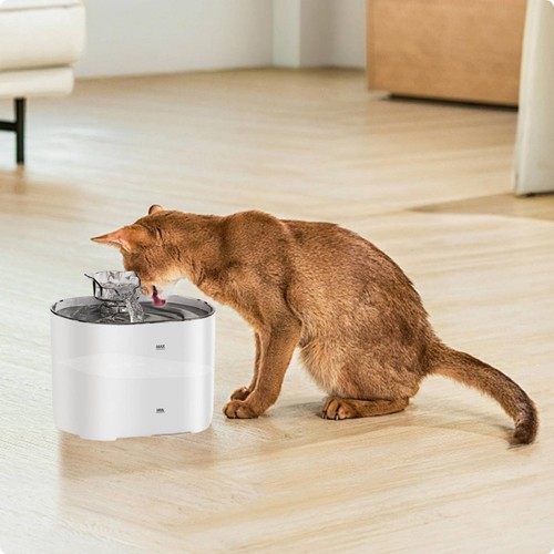Rechargeable feline fountain - rechargeable,