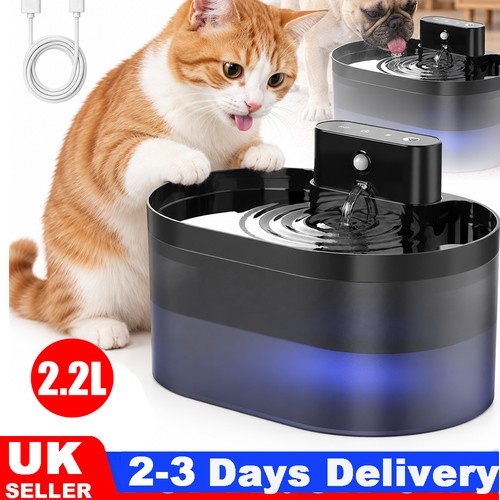Pet cat dog - cat, water
