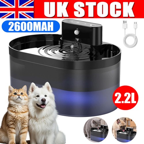 Usb rechargeable pet - rechargeable,