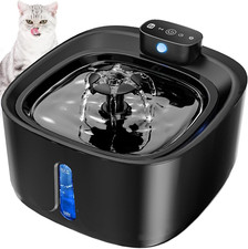 Cat Water Fountain for