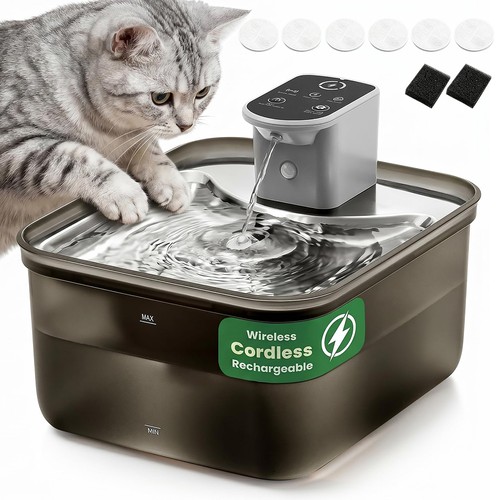 Wireless rechargeable cat - wireless,