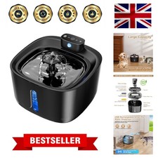 Cat Water Fountain for