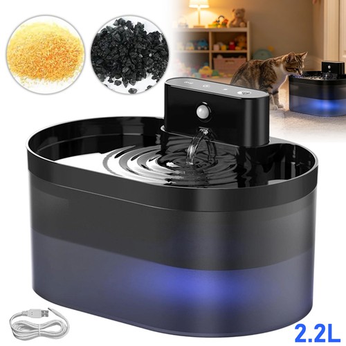 Pet cat dog water - pet, fountain
