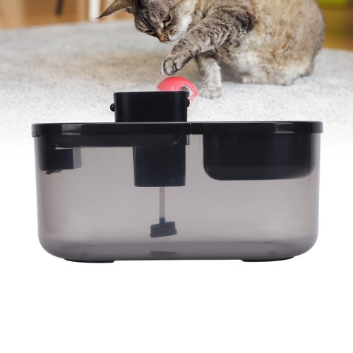 Smart cat water fountain - cat,