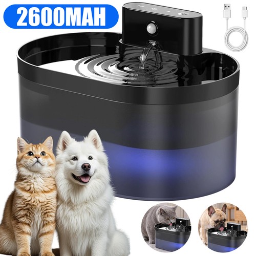 Auto cat water - cat, for