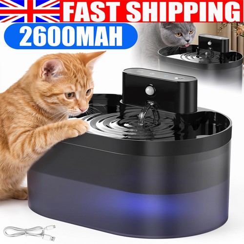 Cat water fountain pet - fountain,